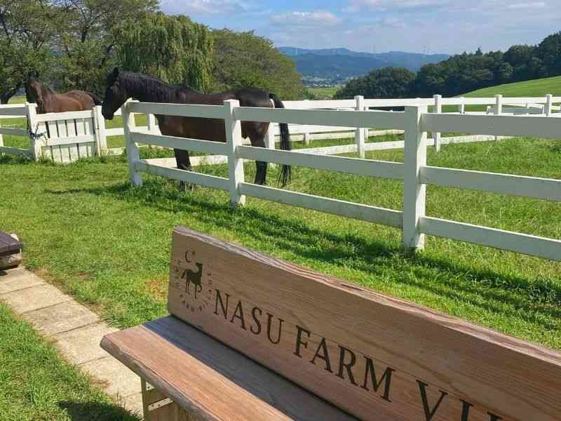 NASU FARM VILLAGE（那須ファームビレッジ）外ベンチと馬画像
