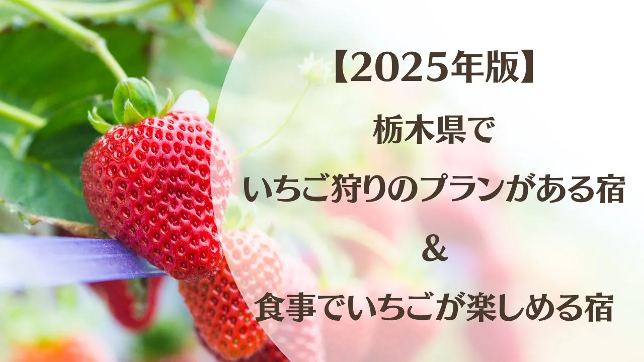 【2025年版】栃木県で「いちご狩り付」プランがある宿13選＋食事で楽しむ宿2選