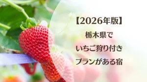 【2026年最新】栃木県でいちご狩り付きプランがある宿11選|那須・日光・鬼怒川