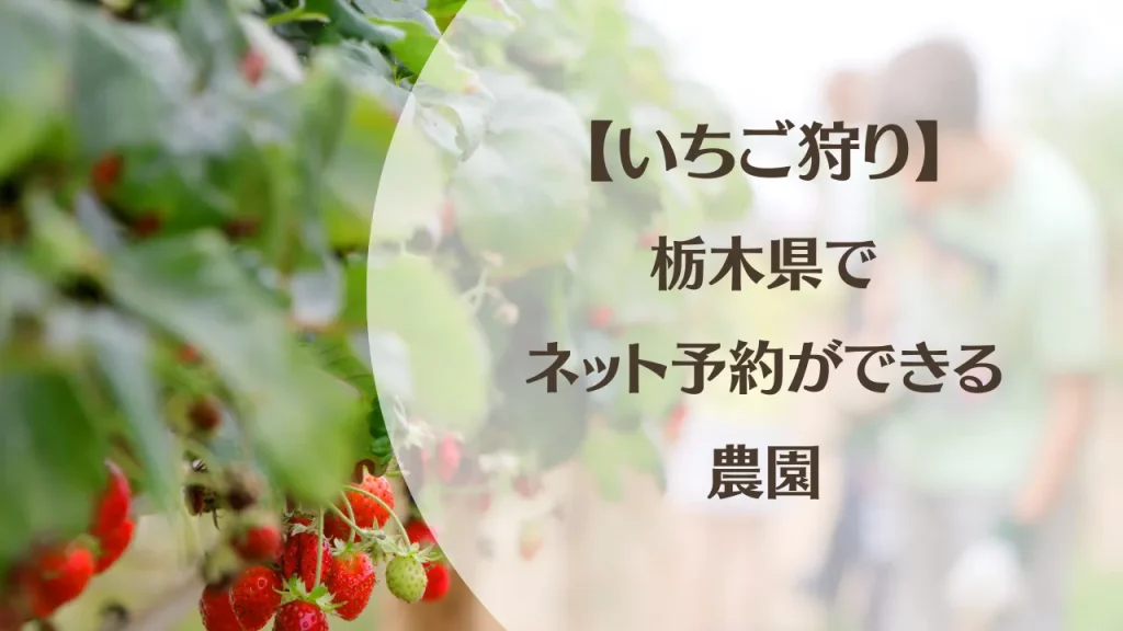 【2023・2024年いちご狩り】栃木県でネット予約ができる農園16選！予約時の注意点も