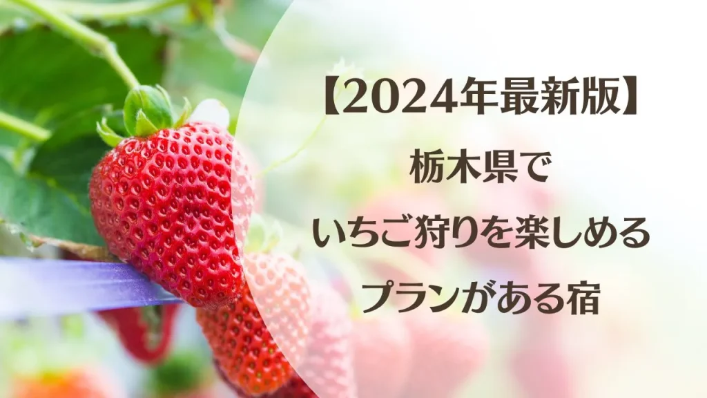 【2024年最新】栃木県でいちご狩りを楽しめるプランがある宿