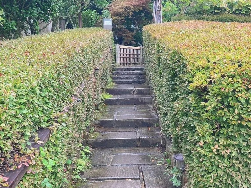 『茶房城山』入り口階段の画像