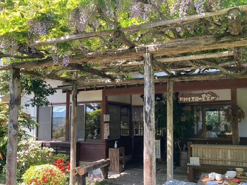 『茶房城山』藤が咲いている店舗の画像