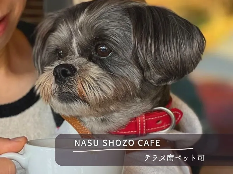 那須でペットOKなおすすめカフェ・ランチおすすめ7選【NASU SHOZO CAFE】