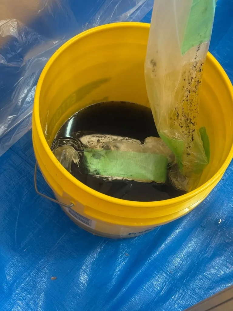 エアコン掃除で出たカビの画像