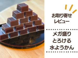 メガ盛り とろける水ようかんレビュー｜無添加で家族みんなにおすすめ