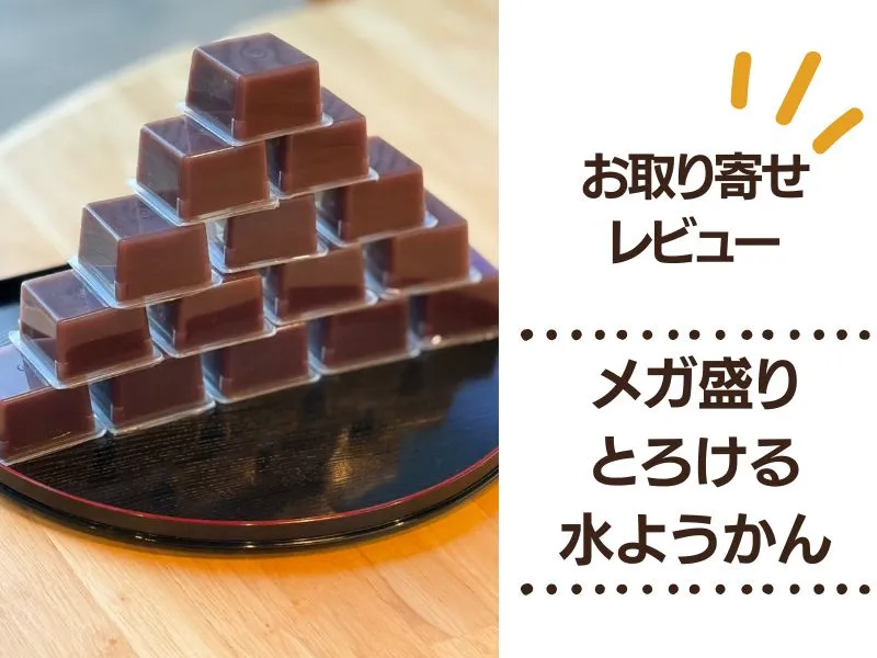メガ盛り とろける水ようかんレビュー｜無添加で家族みんなにおすすめ