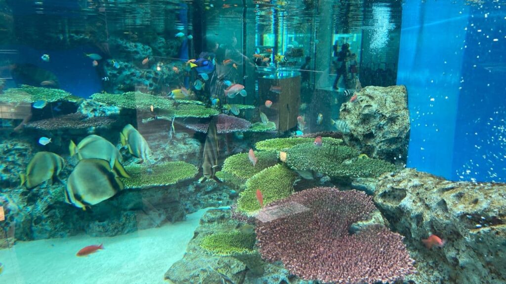 栃木県なかがわ水遊園の画像